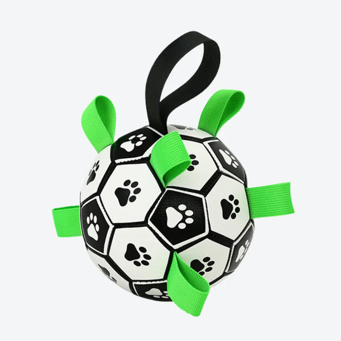 Interactive Dog Soccer Ball – Fun, Exercise & Family Bonding