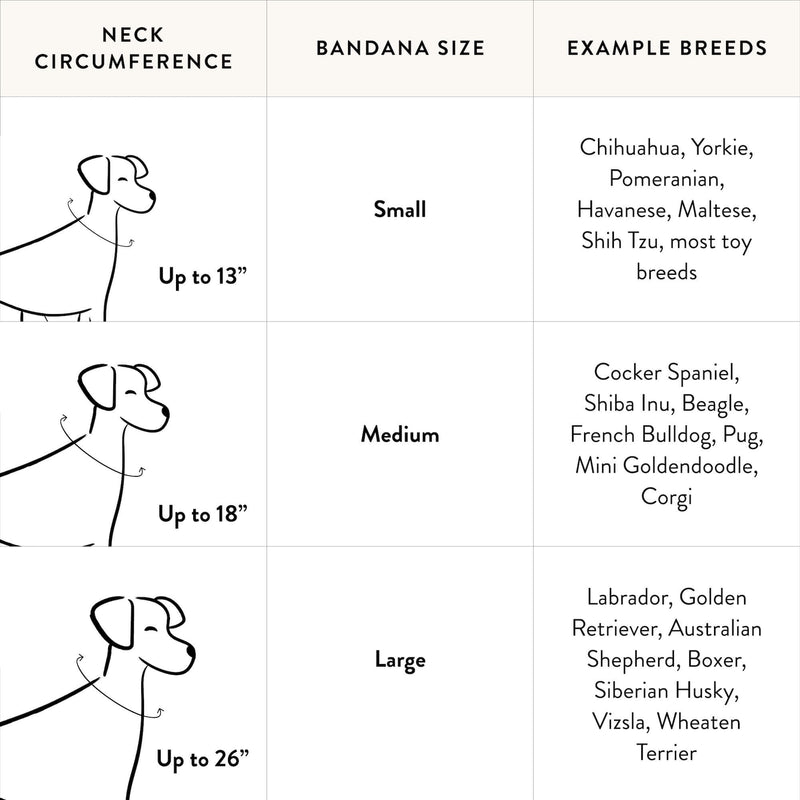 Spooky Season Reversible Dog Bandana – Two Styles in One