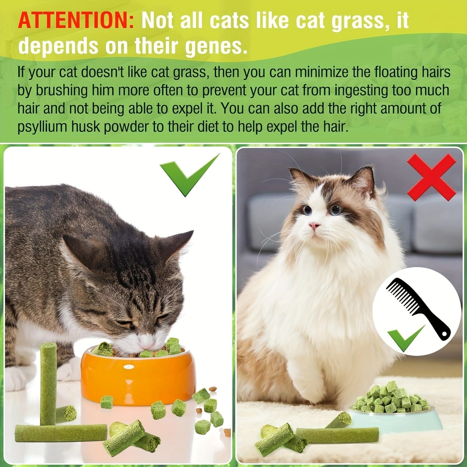Cat Grass Chew Sticks — Natural Chewing Support for Cats