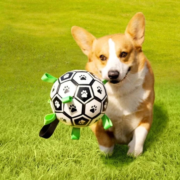 Interactive Dog Soccer Ball – Fetch and Tug Toy with Handles for Dogs