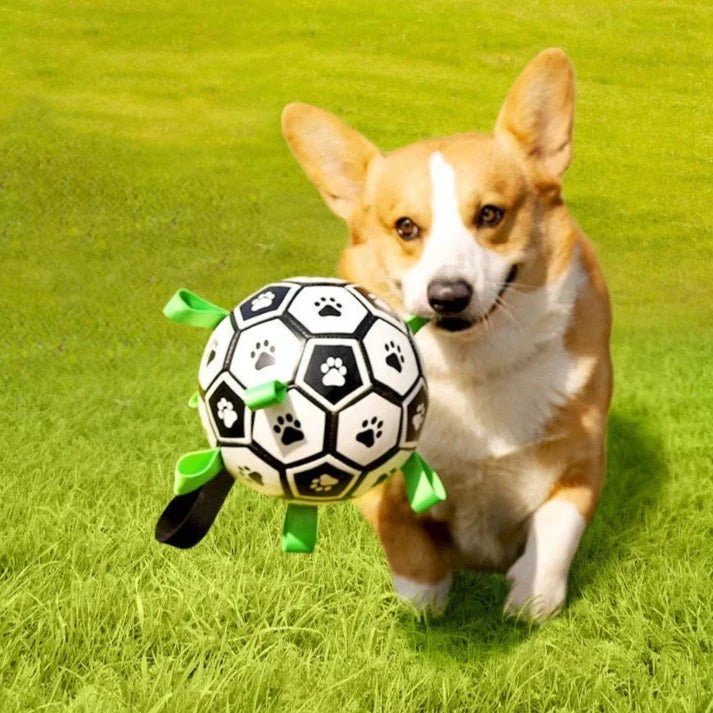Interactive Dog Soccer Ball – Fun, Exercise & Family Bonding