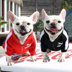 Close-up of premium fabric texture on Pomii cozy warm dog jacket
