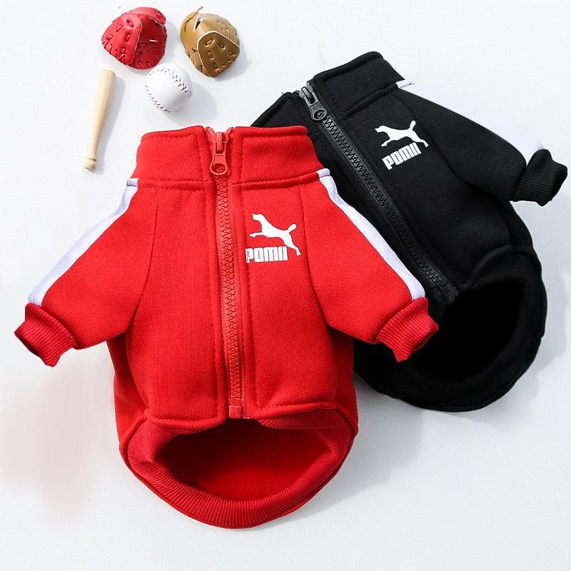 Pomii warm stylish dog jacket shown in multiple color options