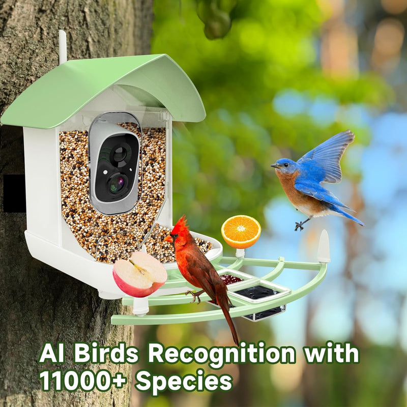 Smart Bird Feeder Camera – Solar Powered, AI Bird ID & Real-Time Alerts