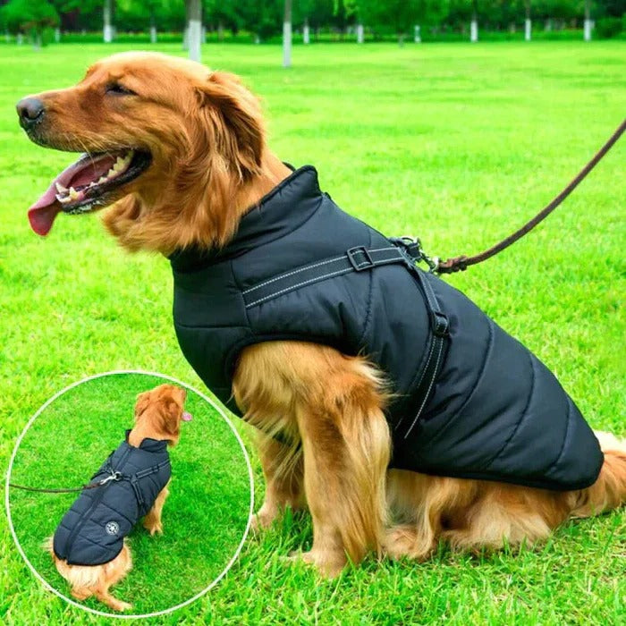 Waterproof Winter Dog Jacket – Sherpa Lined with Built-In Harness