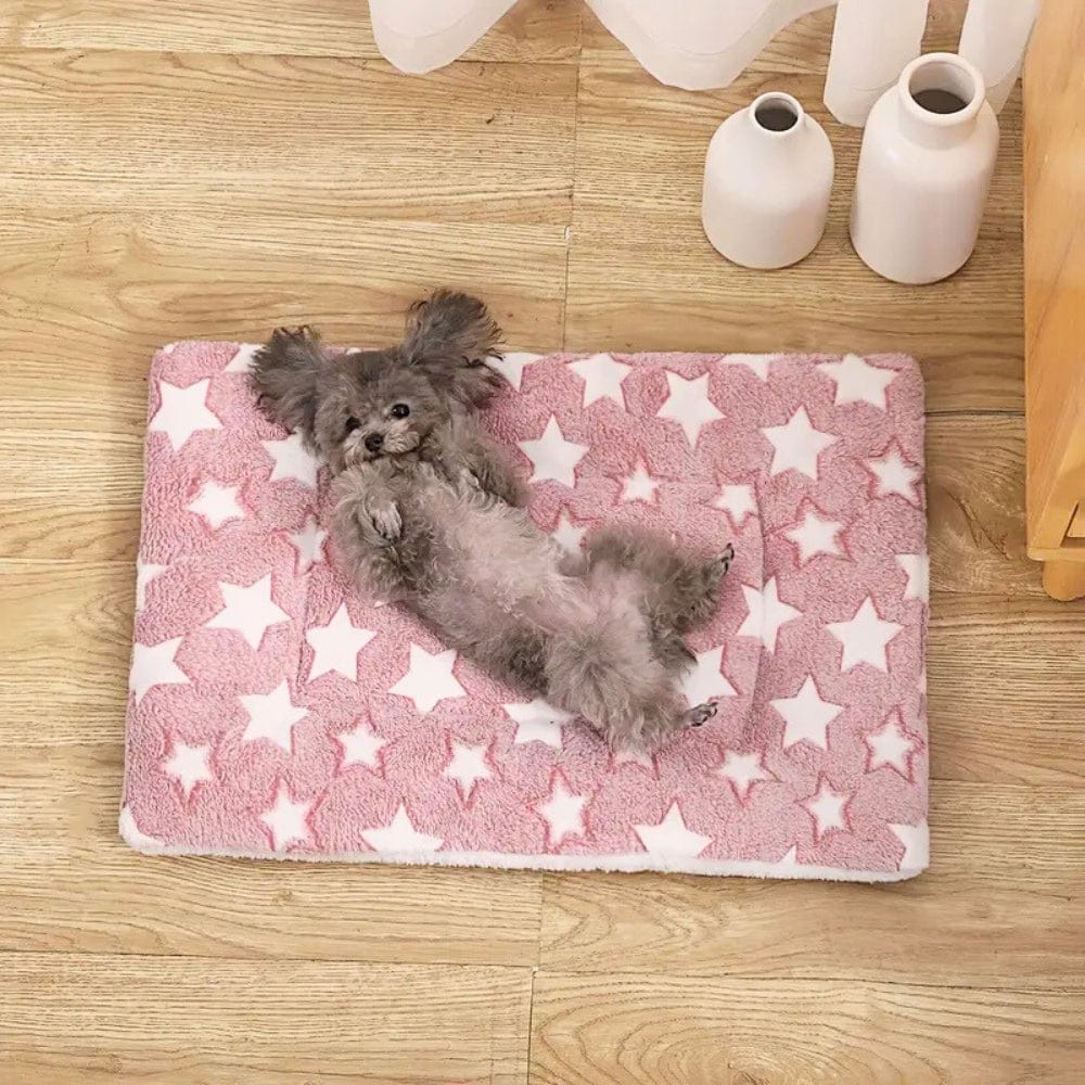 Cozy Pet Bed – Star Shaped Warm Bed for Small Dogs & Cats