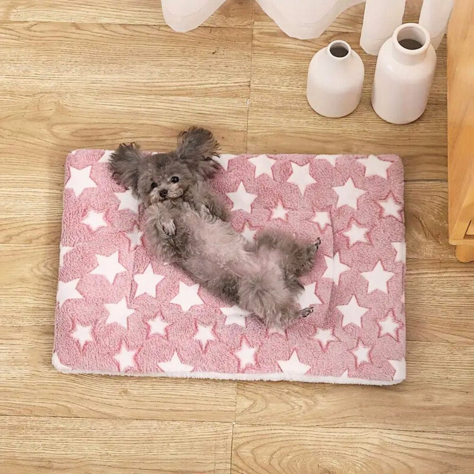 Cozy Pet Bed – Star Shaped Warm Bed for Small Dogs & Cats