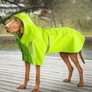 Waterproof Dog Raincoat – Walks Made Easy, Rain or Shine