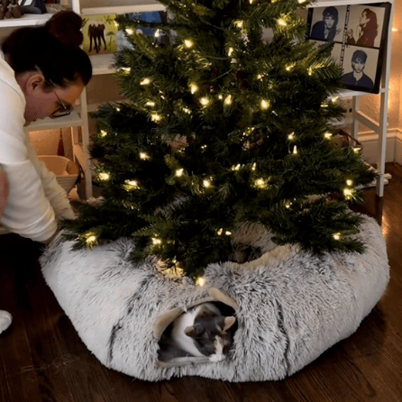 Cat Tunnel Bed – 2-in-1 Play Tunnel with Cozy Nest for Cats