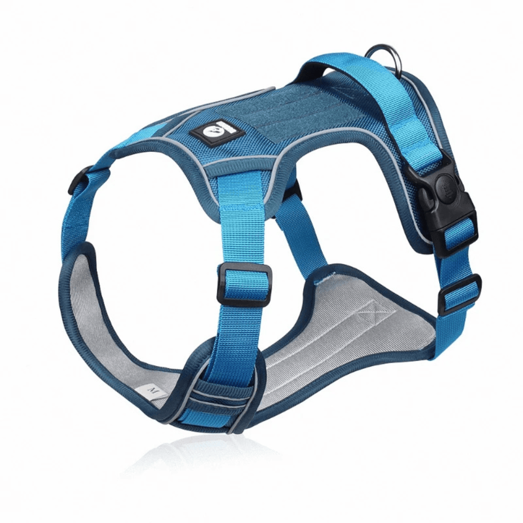 Brown and khaki adjustable dog harness close-up of secure buckles and straps