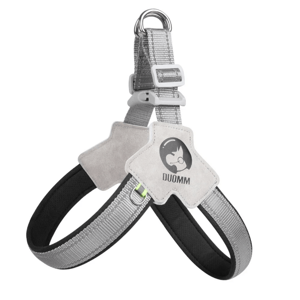 Reflective dog harness shown in low-light evening for safety visibility
