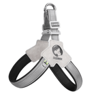 Reflective dog harness shown in low-light evening for safety visibility