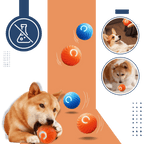 Smart Obstacle Avoidance Dog Ball — Endless Fun, Zero Hassle