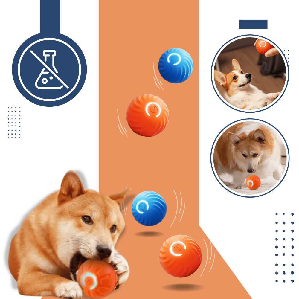 Smart Dog Ball – Obstacle Avoidance Play