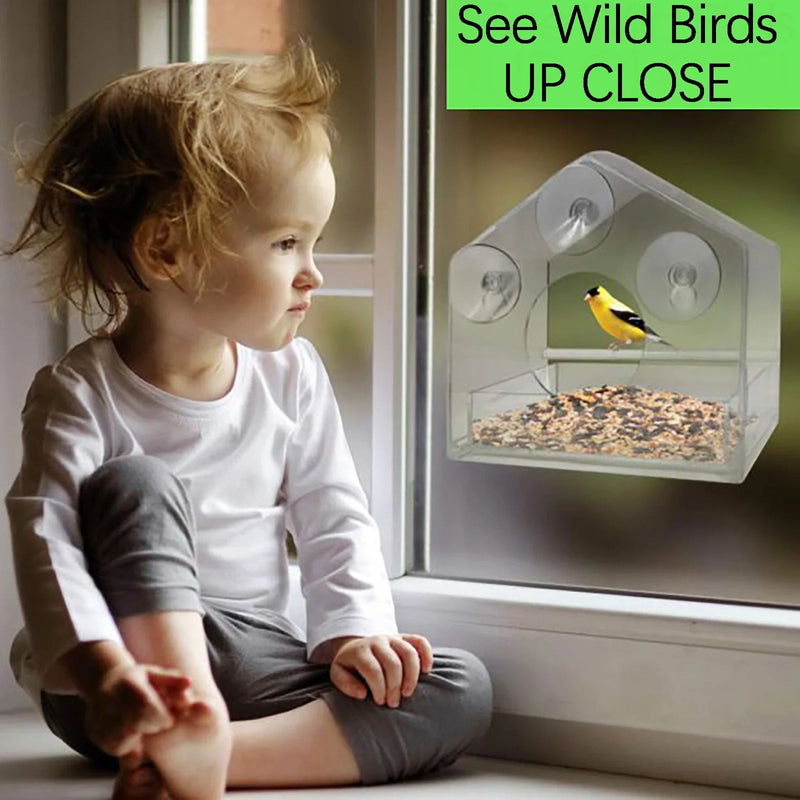 Clear Acrylic Window Bird Feeder – Strong Suction & Squirrel-Proof Design