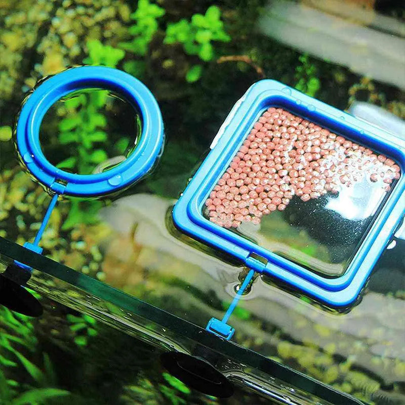 Square and Ring Feeding Frame for Fish Aquarium