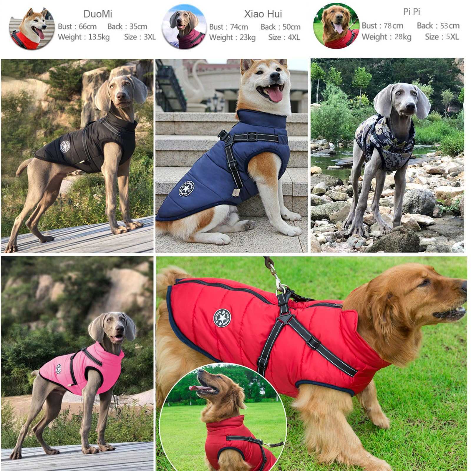 3-in-1 Dog Winter Jacket – Water-Resistant Coat with Fleece Lining