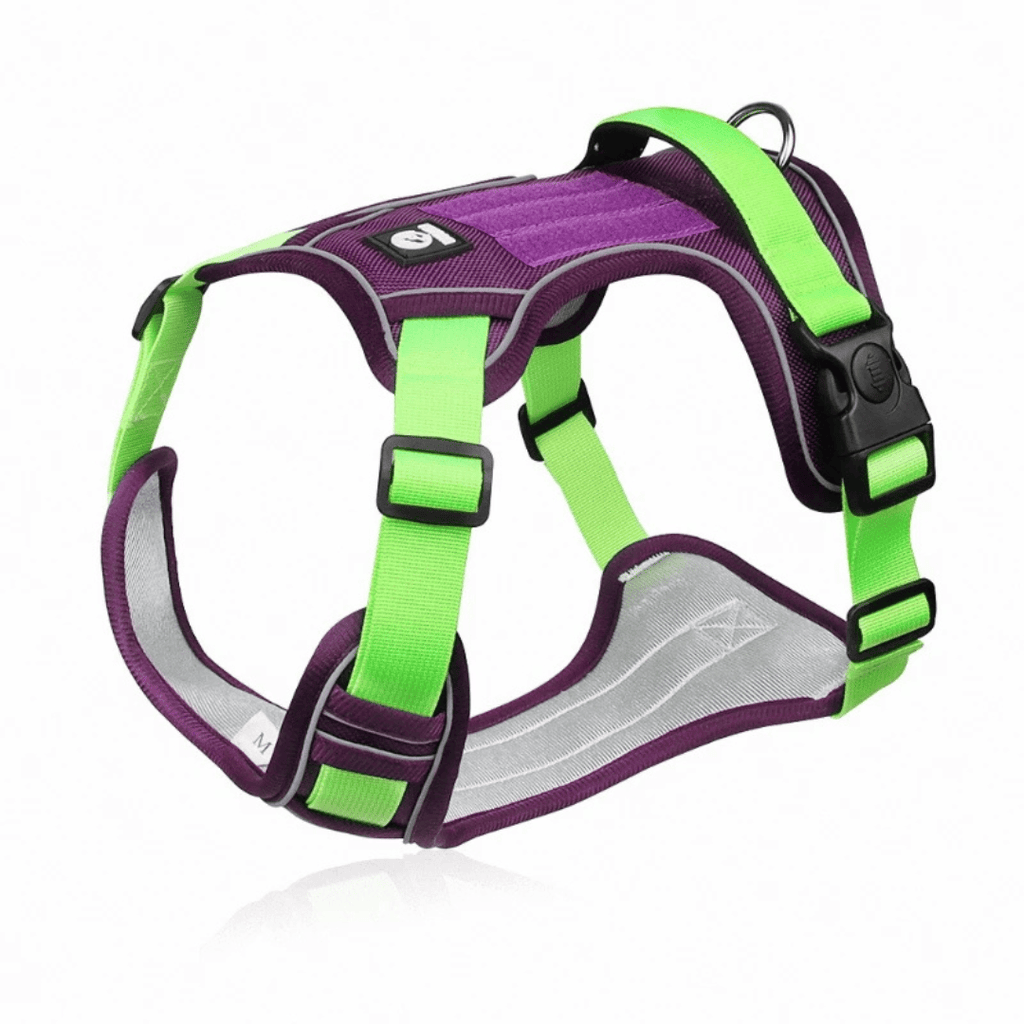 Purple and green adjustable dog harness displayed on harness strap details