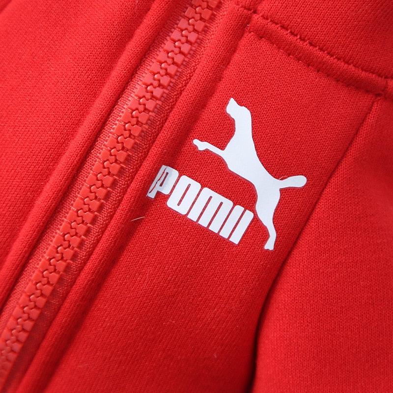 Stylish Pet Jacket – Pomii Jackets Line | Comfort & Warmth