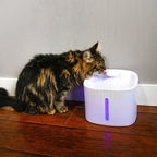 LED Cat Water Fountain — 2.5L Filtered Hydration System