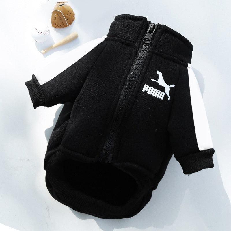 Pomii Cozy Pet Jacket — Warm Stylish Coat for Dogs