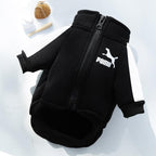 Pomii Cozy Pet Jacket — Warm Stylish Coat for Dogs