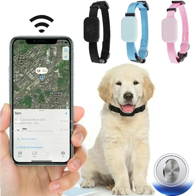 close-up of black GPS tracking collar on cat