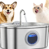Stainless Steel Pet Water Fountain — Quiet, Filtered Hydration for Dogs & Cats