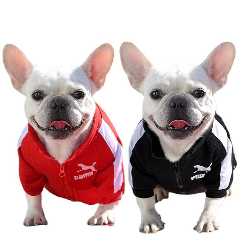 Pomii cozy warm pet jacket in cream tone on small dog