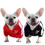 Pomii cozy warm pet jacket in cream tone on small dog