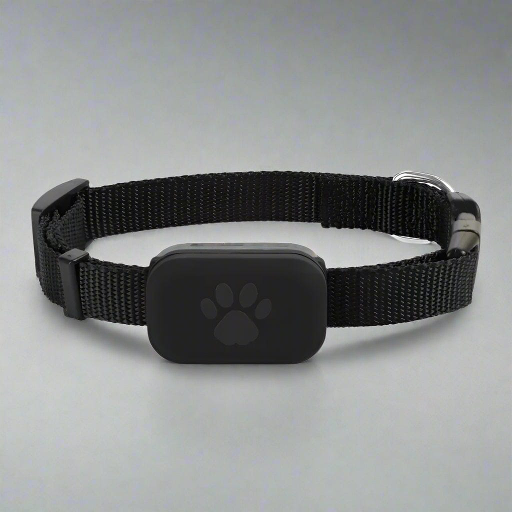 comparison of three color options for cat GPS collar