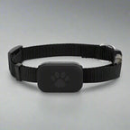 comparison of three color options for cat GPS collar