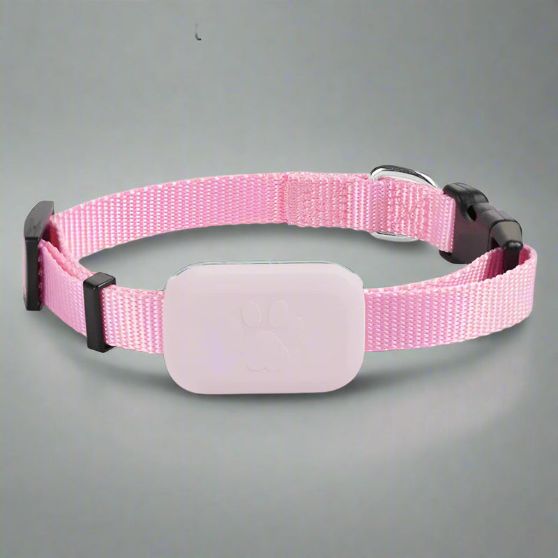 Cat GPS Tracking Collar – Safety, Comfort and Real-Time Protection