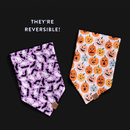 Spooky Season Reversible Dog Bandana – Two Styles in One