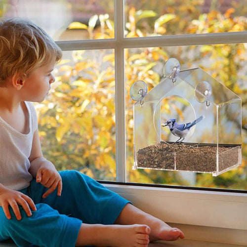 Acrylic Window Bird Feeder – Crystal-Clear View & Squirrel-Proof Design