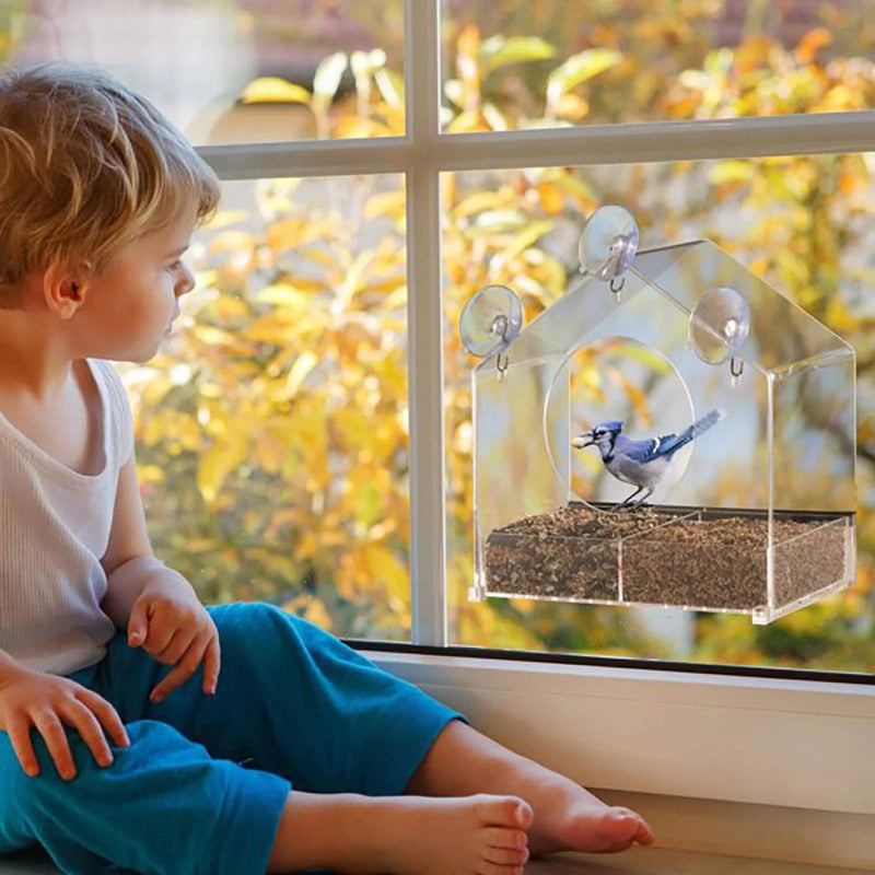 Clear Acrylic Window Bird Feeder – Strong Suction & Squirrel-Proof Design
