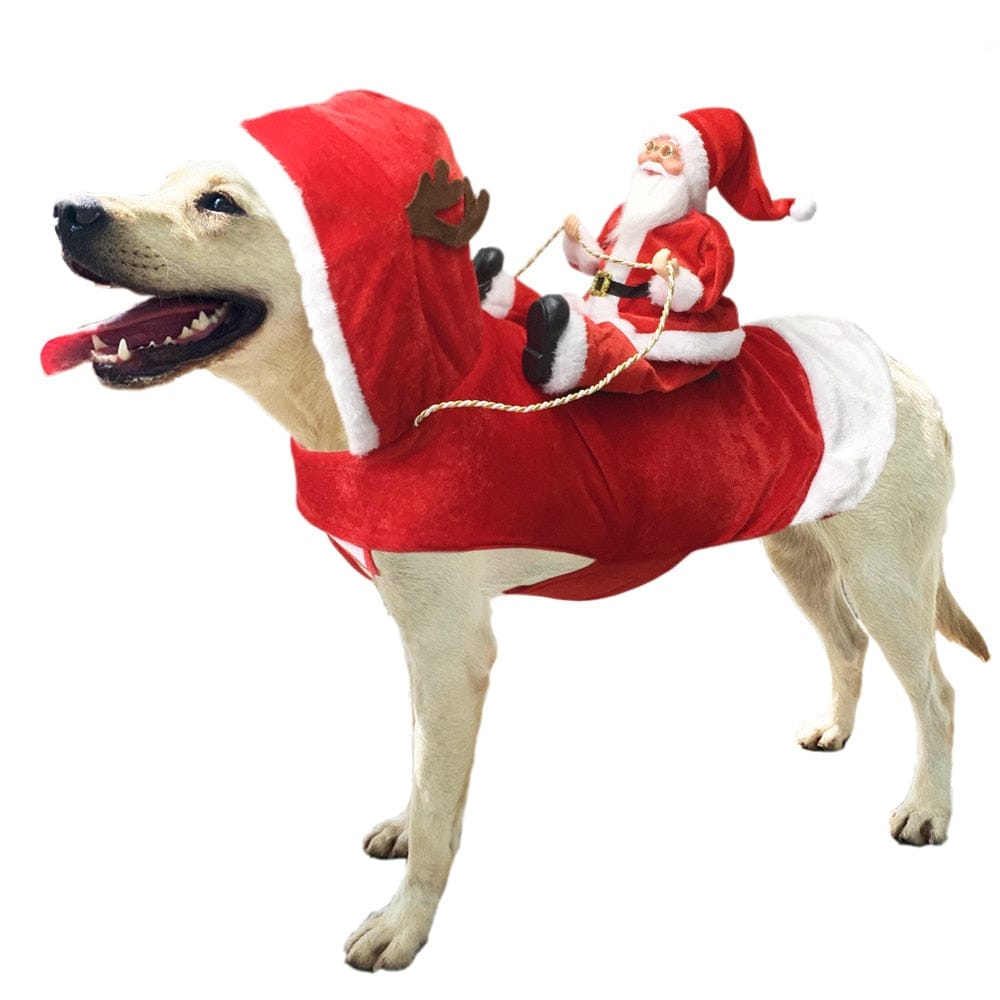 The Hilarious Riding Santa Dog Costume