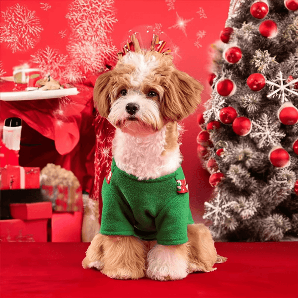 Christmas Elk Dog Dress – Festive Style & Cozy Comfort