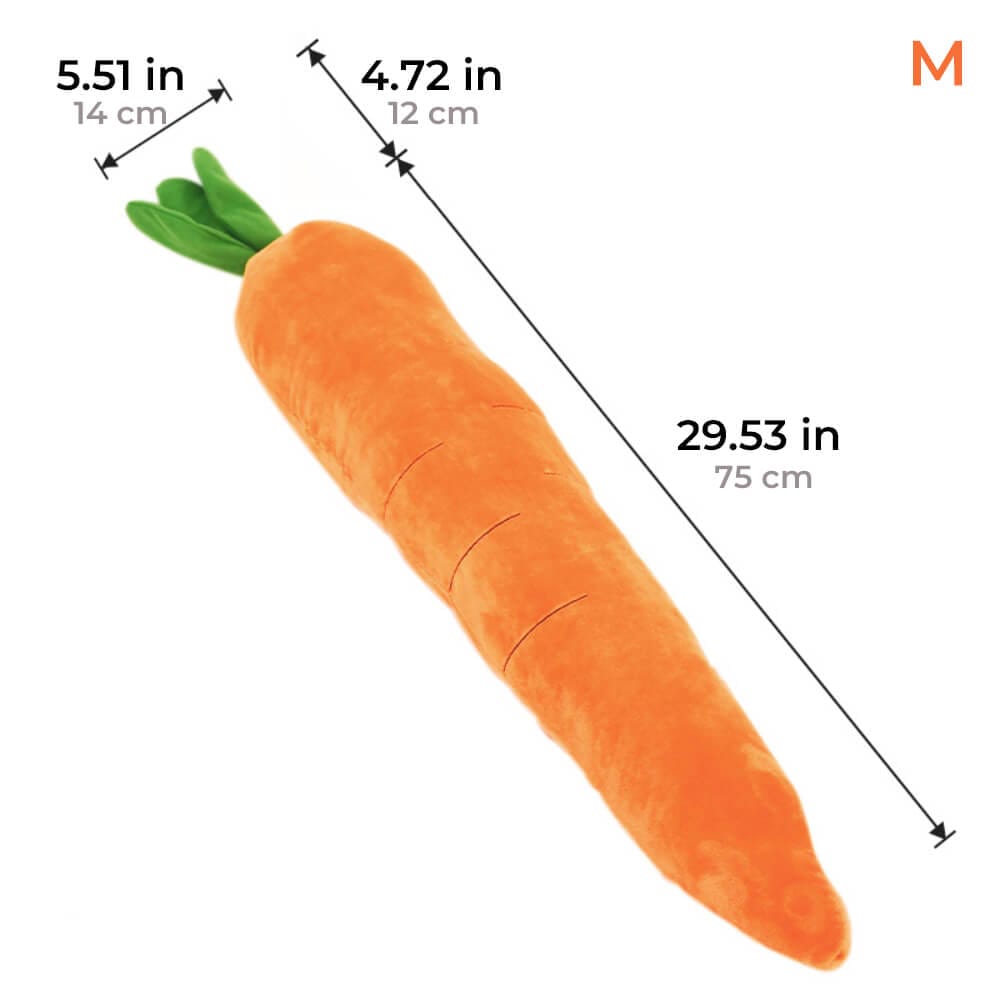 Squeaky Plush Carrot Dog Toy — Soft Interactive Play for Dogs