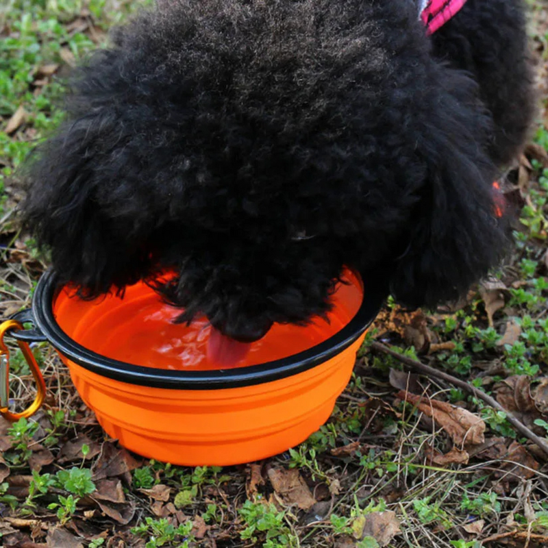 Collapsible Pet Bowl – Portable Food & Water Feeder for Dogs and Cats