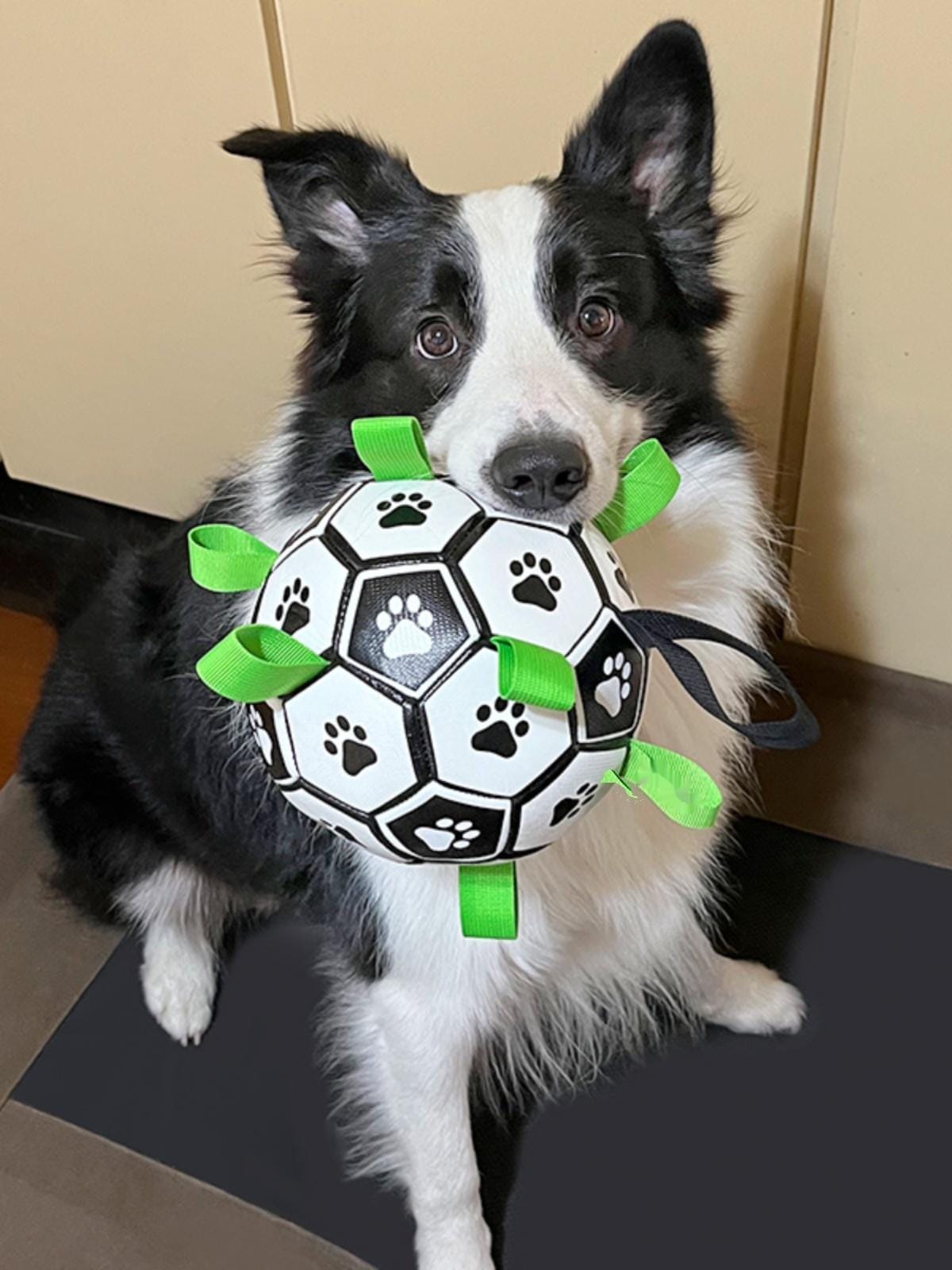 Interactive Dog Soccer Ball – Fetch and Tug Toy with Handles for Dogs
