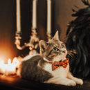 Gothic Halloween Bow Tie Cat Collar – Black & Orange