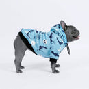 Limited Edition Halloween Dog Hoodie – Cozy, Stylish & Spooky-Cute