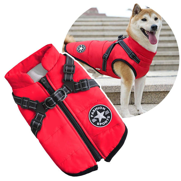 3-in-1 Dog Jacket – Comfort, Style & Winter Protection