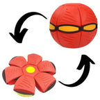 Dog Disc Ball Toy — 2-in-1 Fetch & Rolling Play for Active Dogs