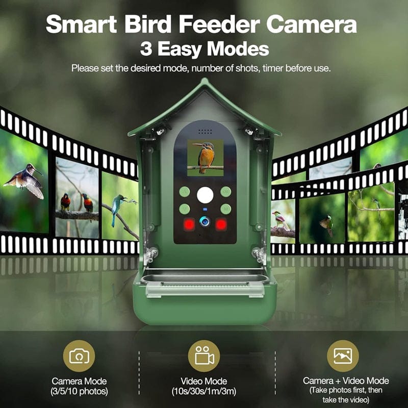 Smart Bird Feeder Camera – PIR Motion Detection, Night Vision & Dual Feeder