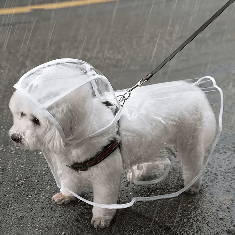 Clear Dog Raincoat with Hood