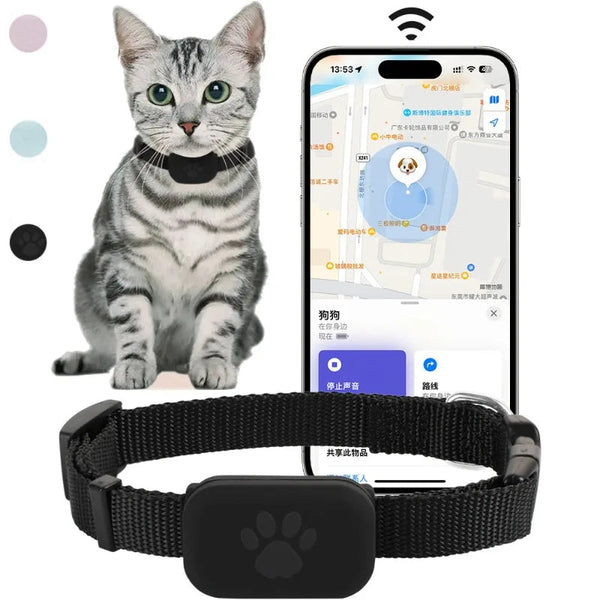 Cat GPS Tracking Collar – Safety, Comfort and Real-Time Protection