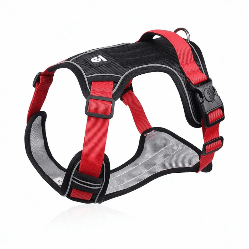 Red adjustable dog harness with reflective panel glowing in low light