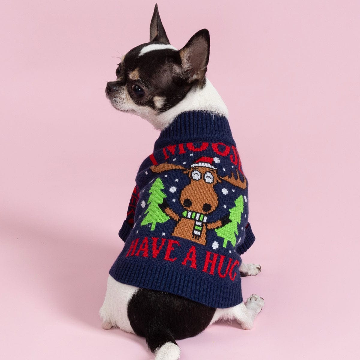 I Moose Have A Hug Dog Sweater